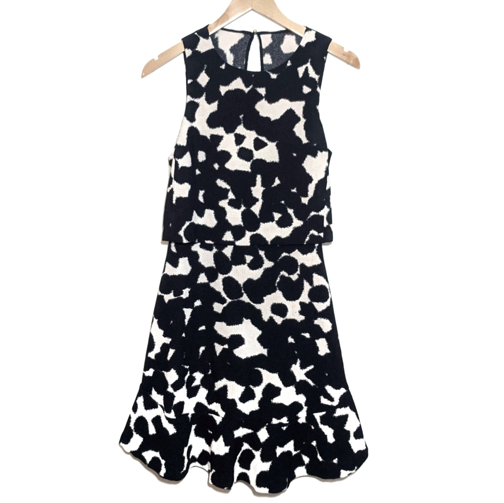 Banana Republic cream and Black Dress with Ruffle